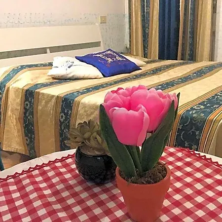 双生子住宿加早餐旅馆 住宿加早餐酒店 4*